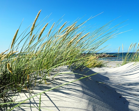 Una playa cerca, arena blanca. Hotel Max am Meer Kühlungsborn