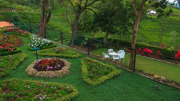 Un jardín ajardinado con parterres de flores geométricos y una plantación de té al fondo.