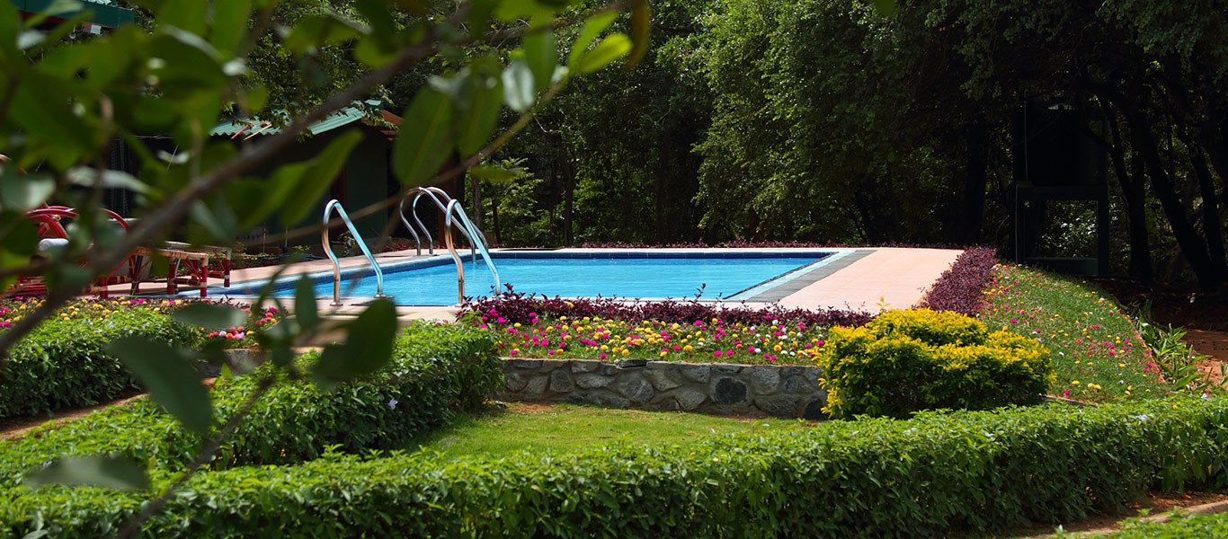 Una piscina rodeada de jardines floridos y abundante vegetación.