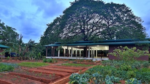 A house with a large garden and a tree in the background. - Governor's Gangula (Dambulla)