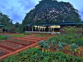 Una casa con un jardín amplio y un árbol al fondo.