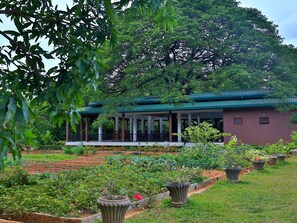 Property grounds - Governor's Gangula (Dambulla)