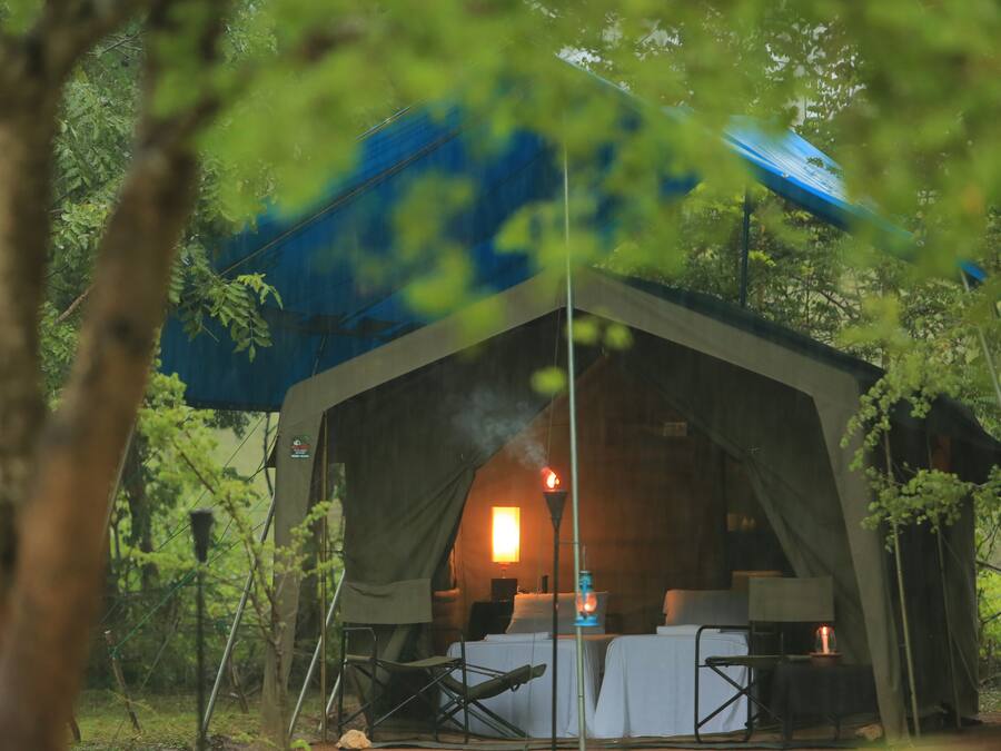 A tent with a table and chairs set up inside, surrounded by trees.
