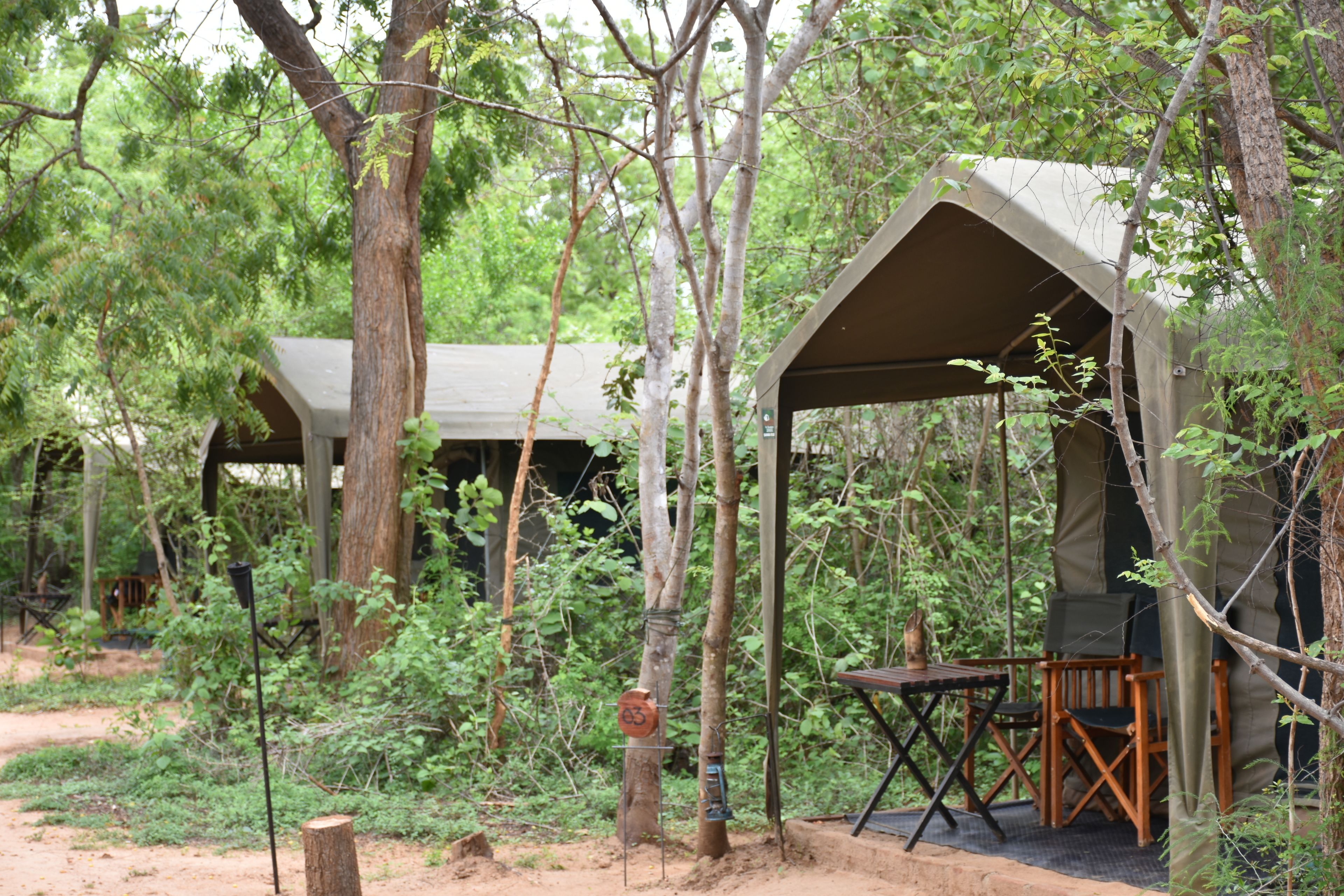 A tented accommodation with a table and chairs set up in a forested area.