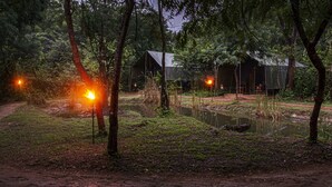 A rustic cabin with a dirt path leading to it, surrounded by dense forest and a small pond. - Big Game Yala by Eco Team (Kataragama)