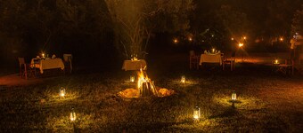 Big Game Yala by Eco Team