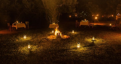 Big Game Yala by Eco Team