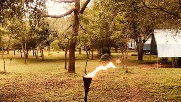 A campfire in a wooded area with tents in the background.