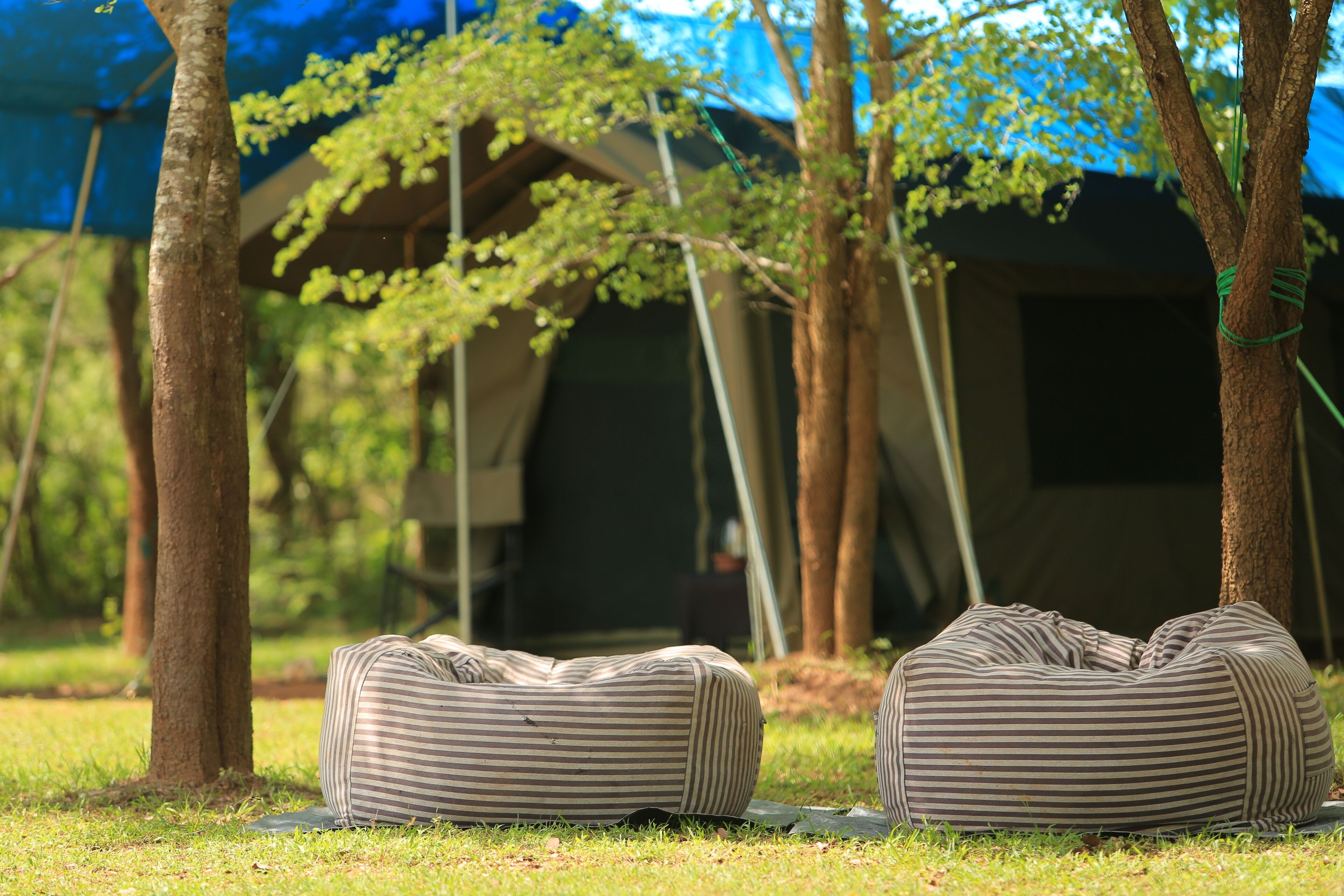 Tent with a night walk - on Half Board | 高級寝具、低反発ベッド、客室ごとに異なるインテリア、ノートパソコン用作業スペース