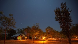 A campsite at night with tents and trees under a starry sky. - Big Game - Udawalawe by Eco Team (Thanamalvila)
