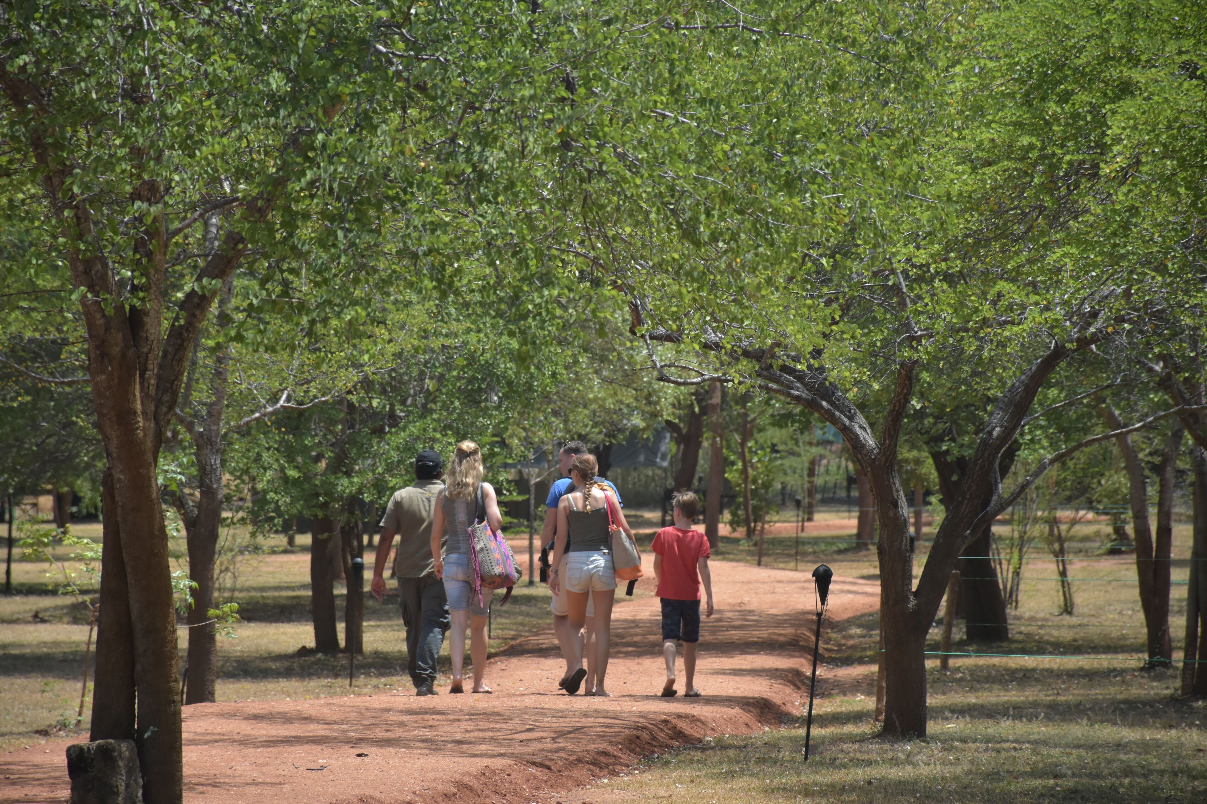 A dirt path in a park with trees and people walking.