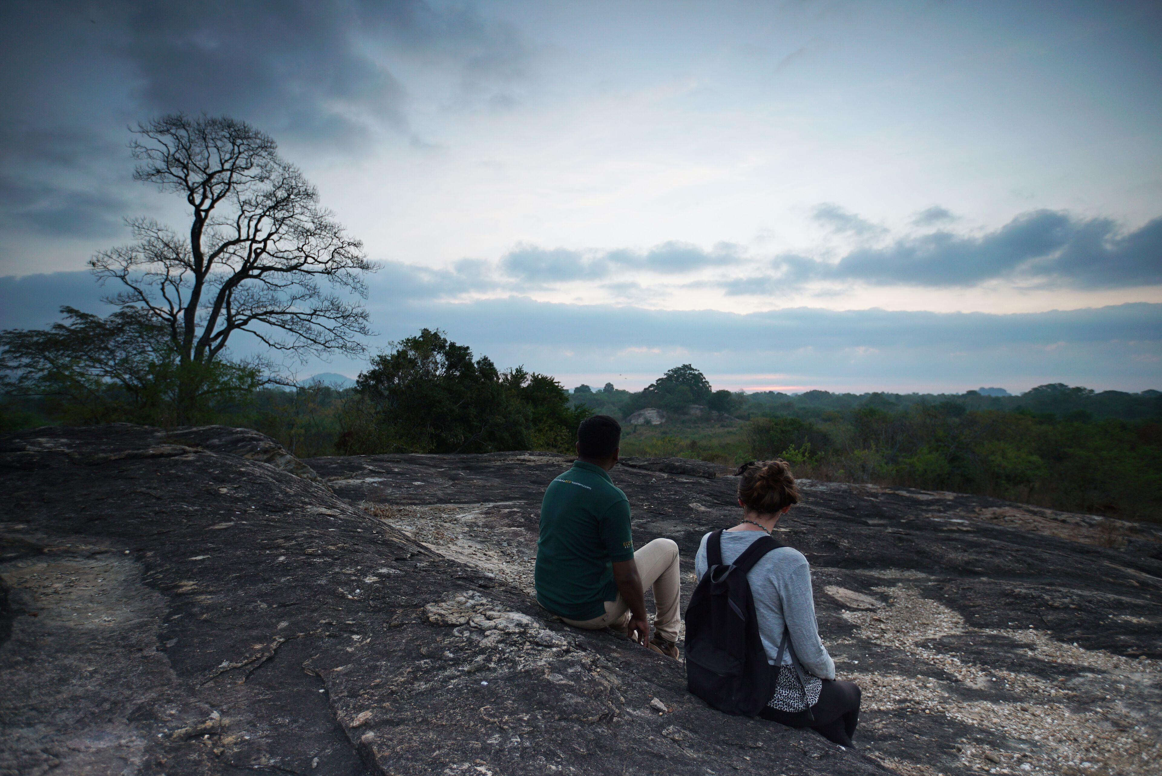 Two people sitting on a rocky surface with a tree and a cloudy sky in the background.