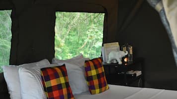 Premium bedding, memory foam beds, individually furnished