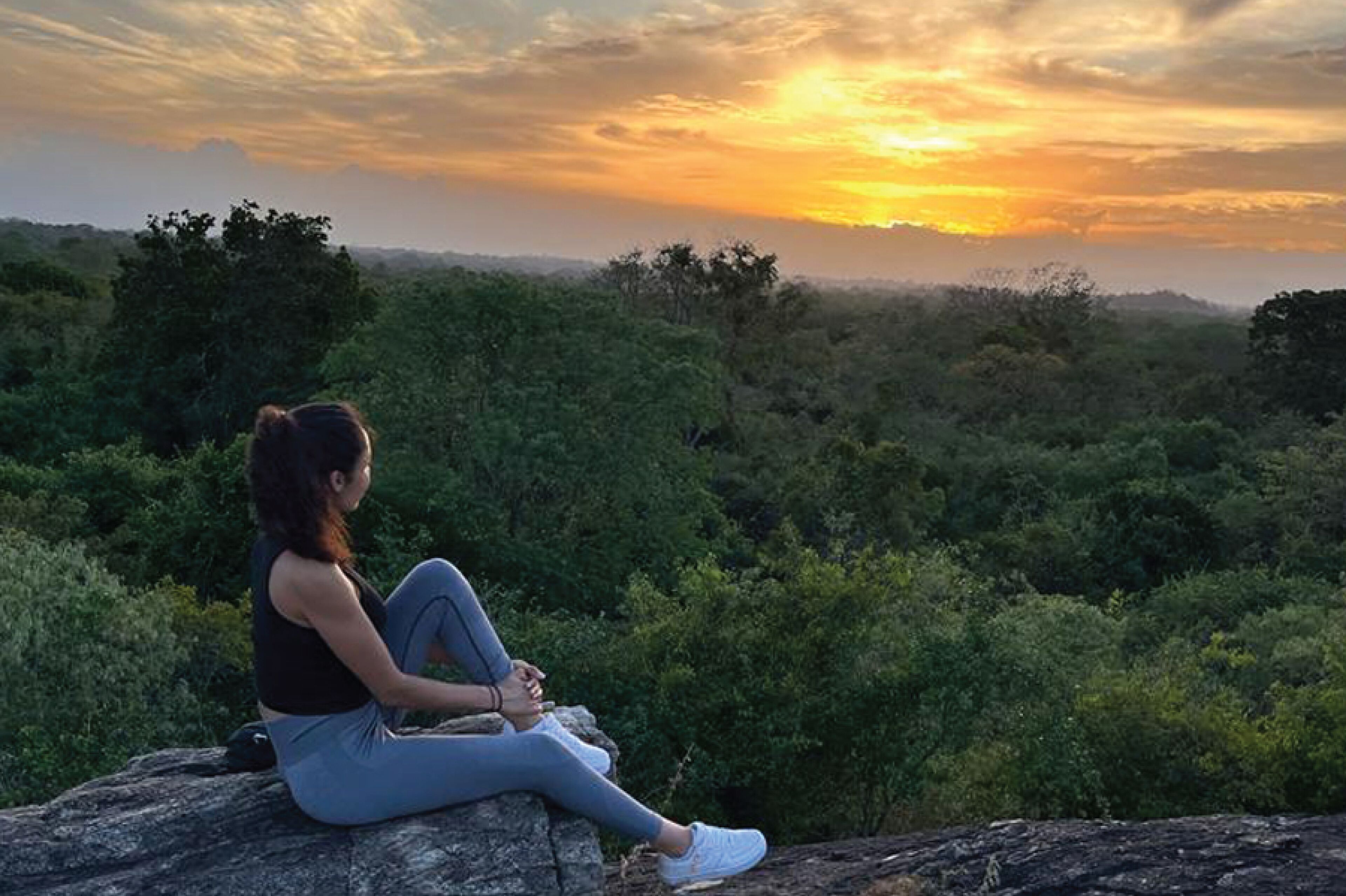 A person sitting on a rock with a view of a forested landscape and a sunset in the background.