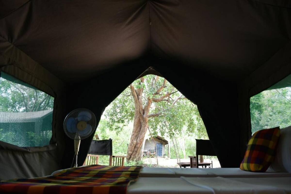 A tent with a bed, a fan, and a view of a tree and a small structure outside.