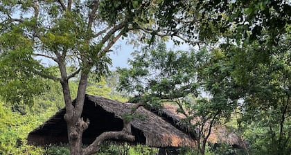 Big Game - Wilpattu by Eco Team