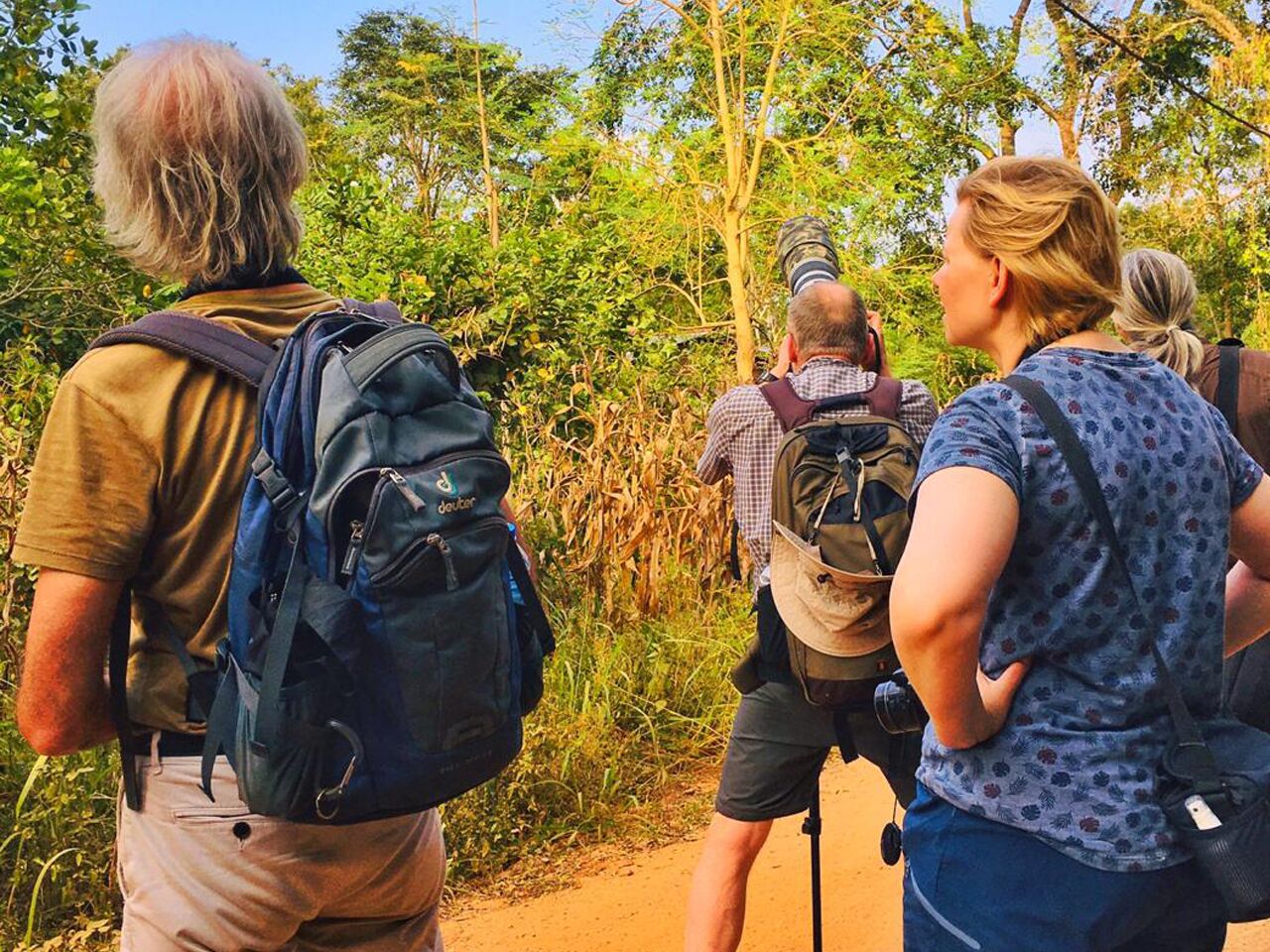 A group of people hiking on a dirt path surrounded by greenery.