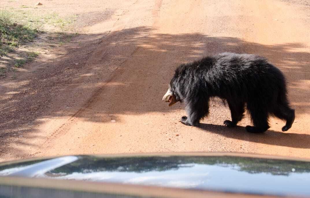 الغرفة
