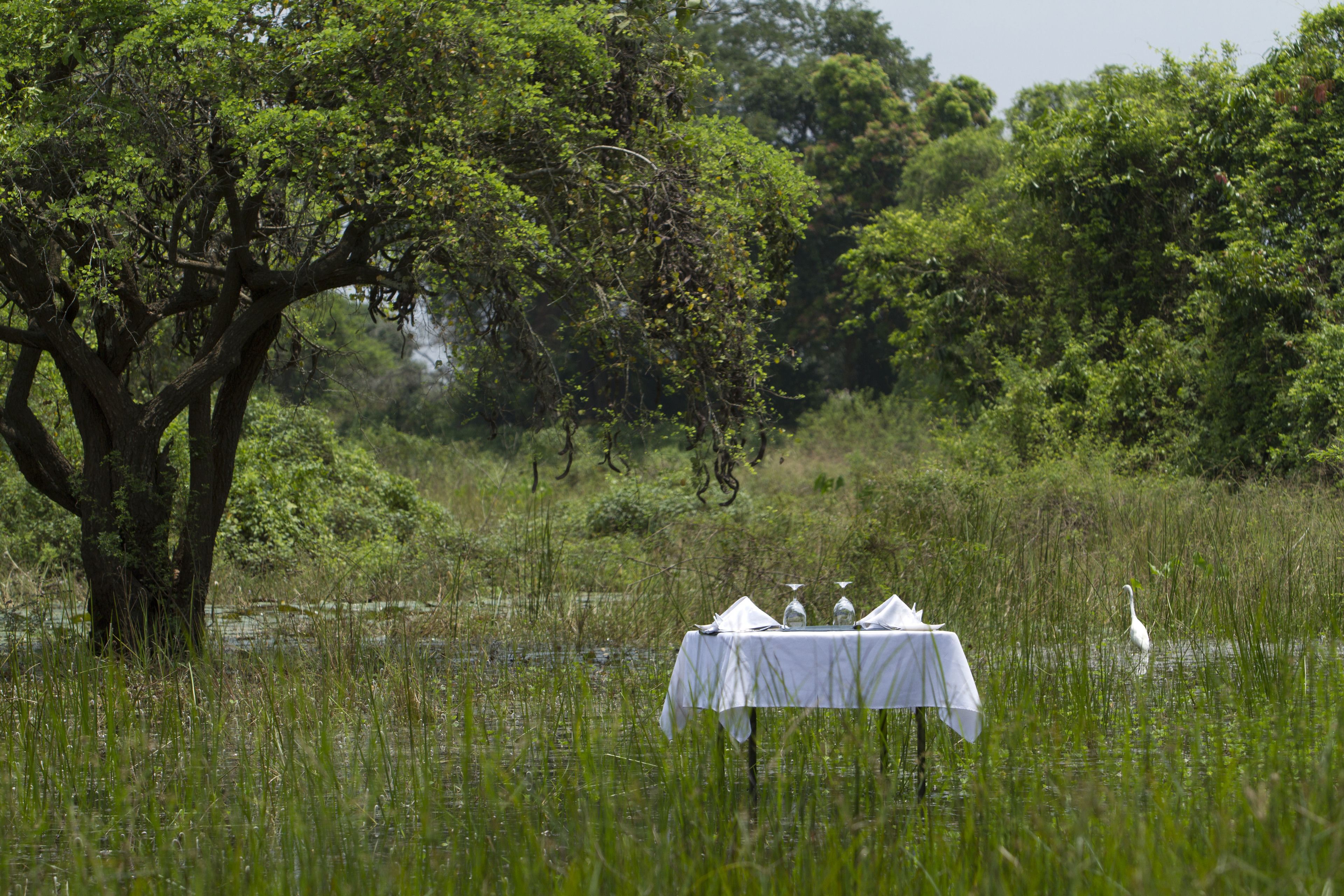 Daily continental breakfast (USD 8 per person)