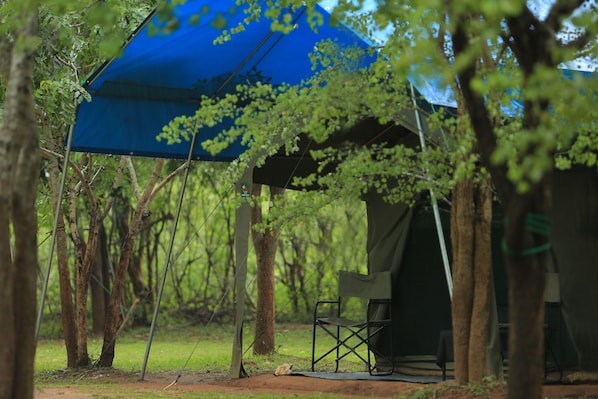 A tent set up in a forested area with trees surrounding it.