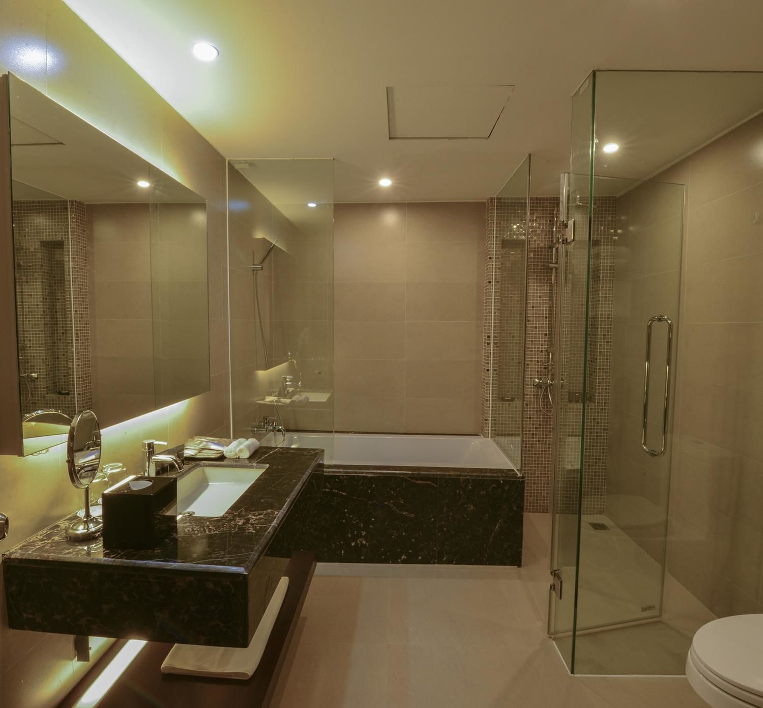 Suite Junior | Bagno | Doccia, set di cortesia gratuito, asciugacapelli, accappatoio