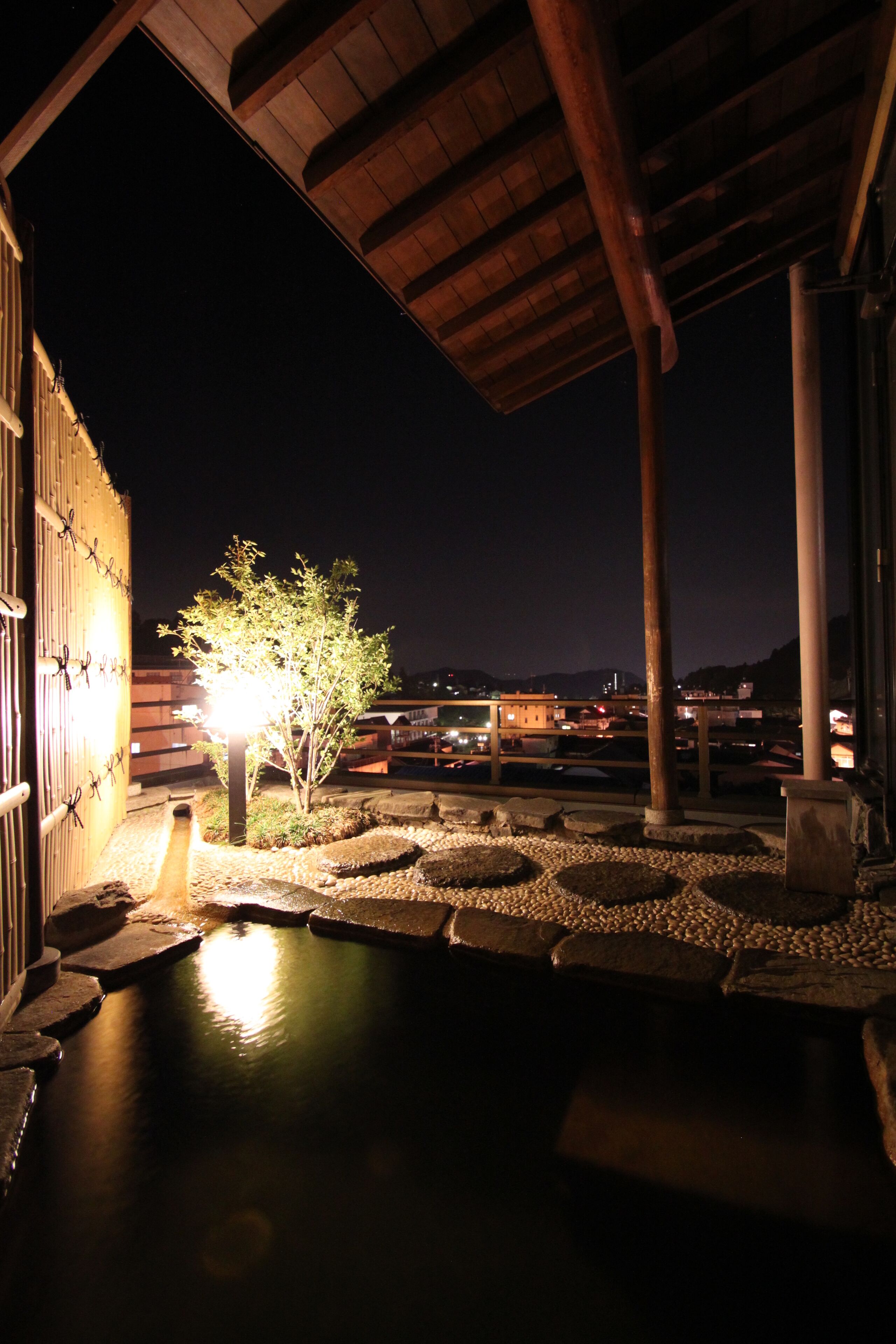 An outdoor area with a stone pathway leading to a small pond, surrounded by rocks and plants, under a wooden structure at night.