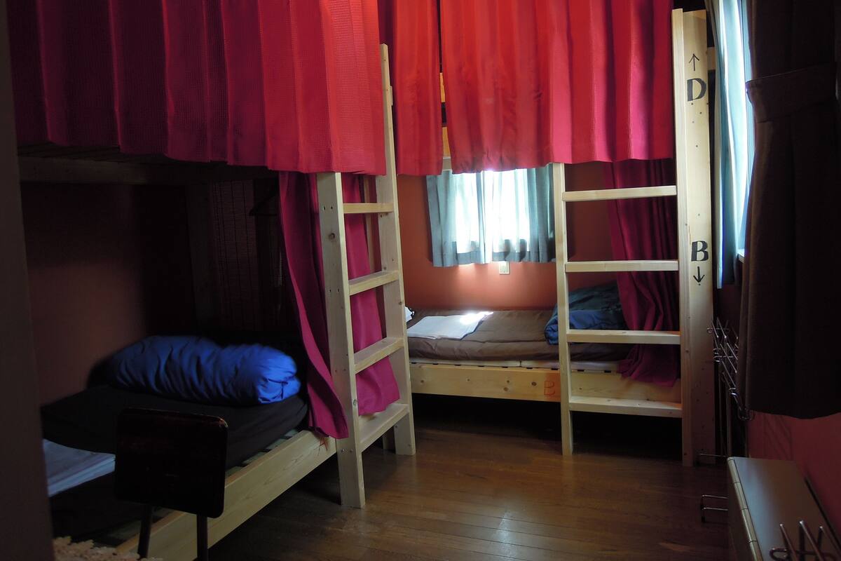 A dormitory room with bunk beds, a ladder, and a window with curtains.