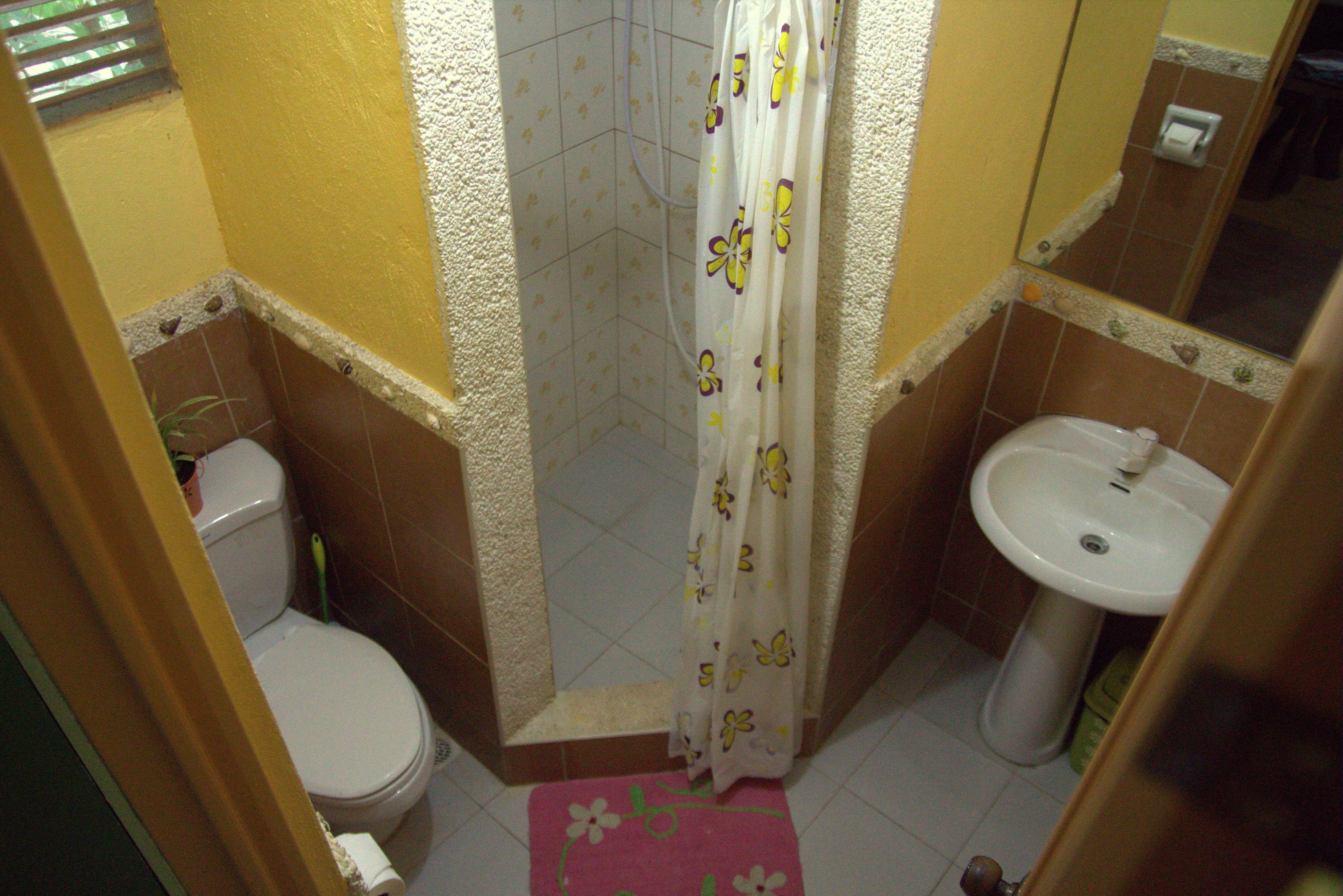 A bathroom with a toilet, shower, and sink.
