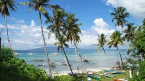 Una playa con palmeras y barcos.