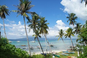 Vista desde la propiedad