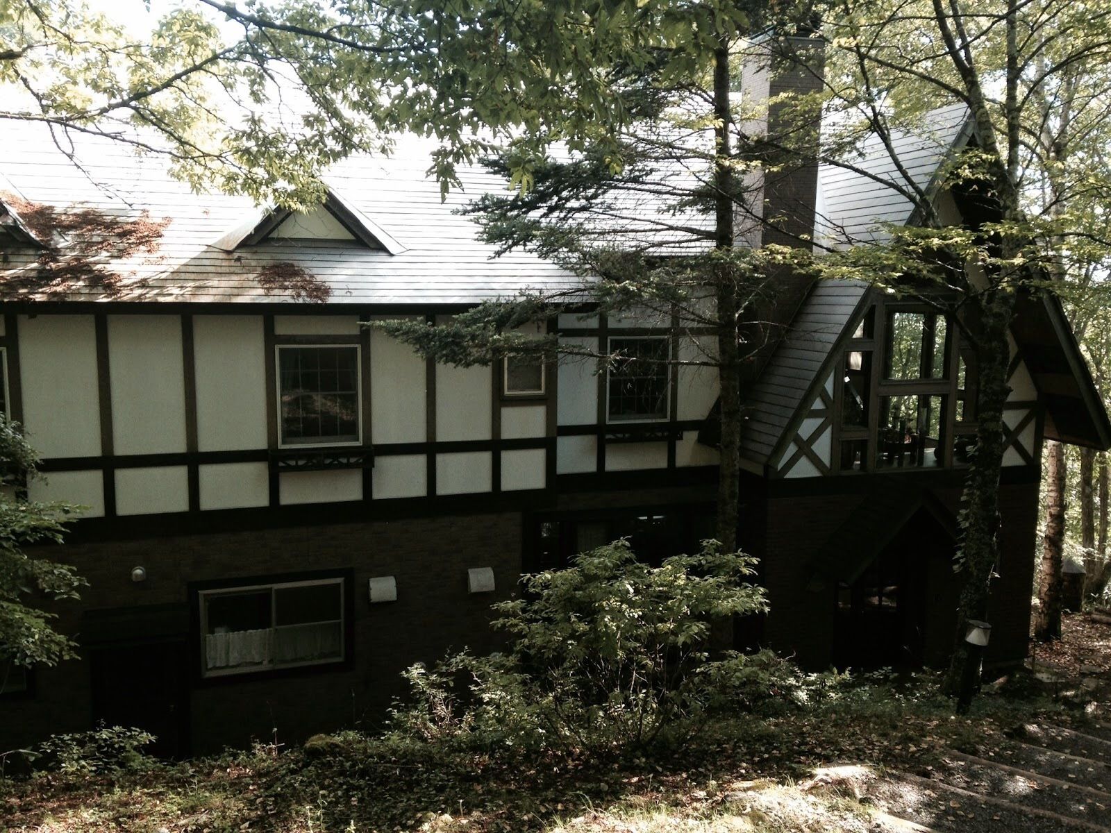 A traditional timber-framed house with a steeply pitched roof, surrounded by dense foliage.