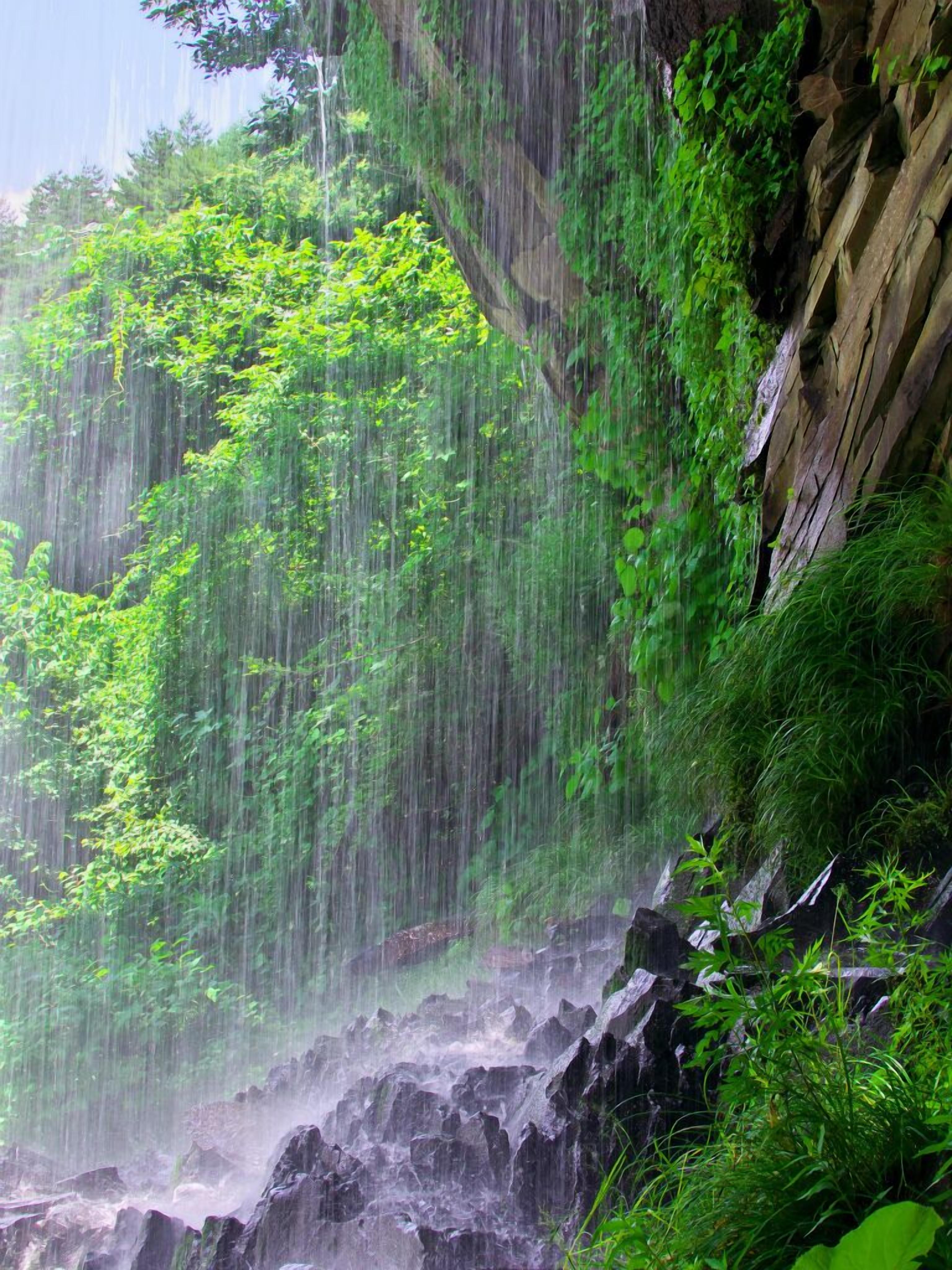 A waterfall cascading down a rocky cliff surrounded by lush greenery.