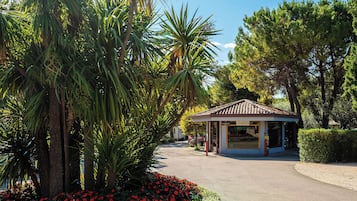 Recepción
