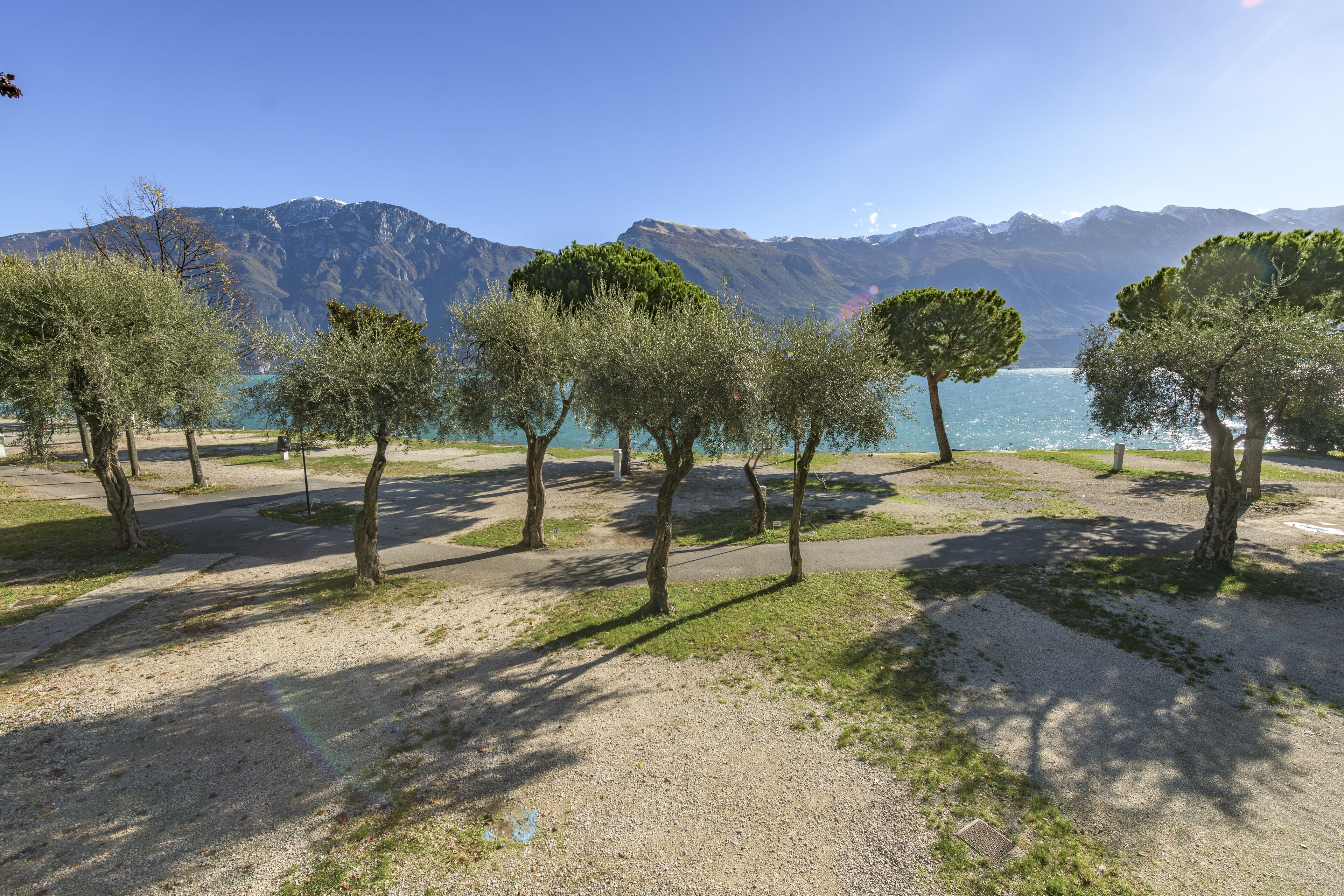 A park with trees and a lake, surrounded by mountains.