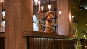 Un área de recepción con una estatua de leopardo, lámparas colgantes y suelo de baldosas.