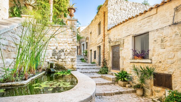 A narrow stone pathway leading to a building with a window and a small pond with plants.