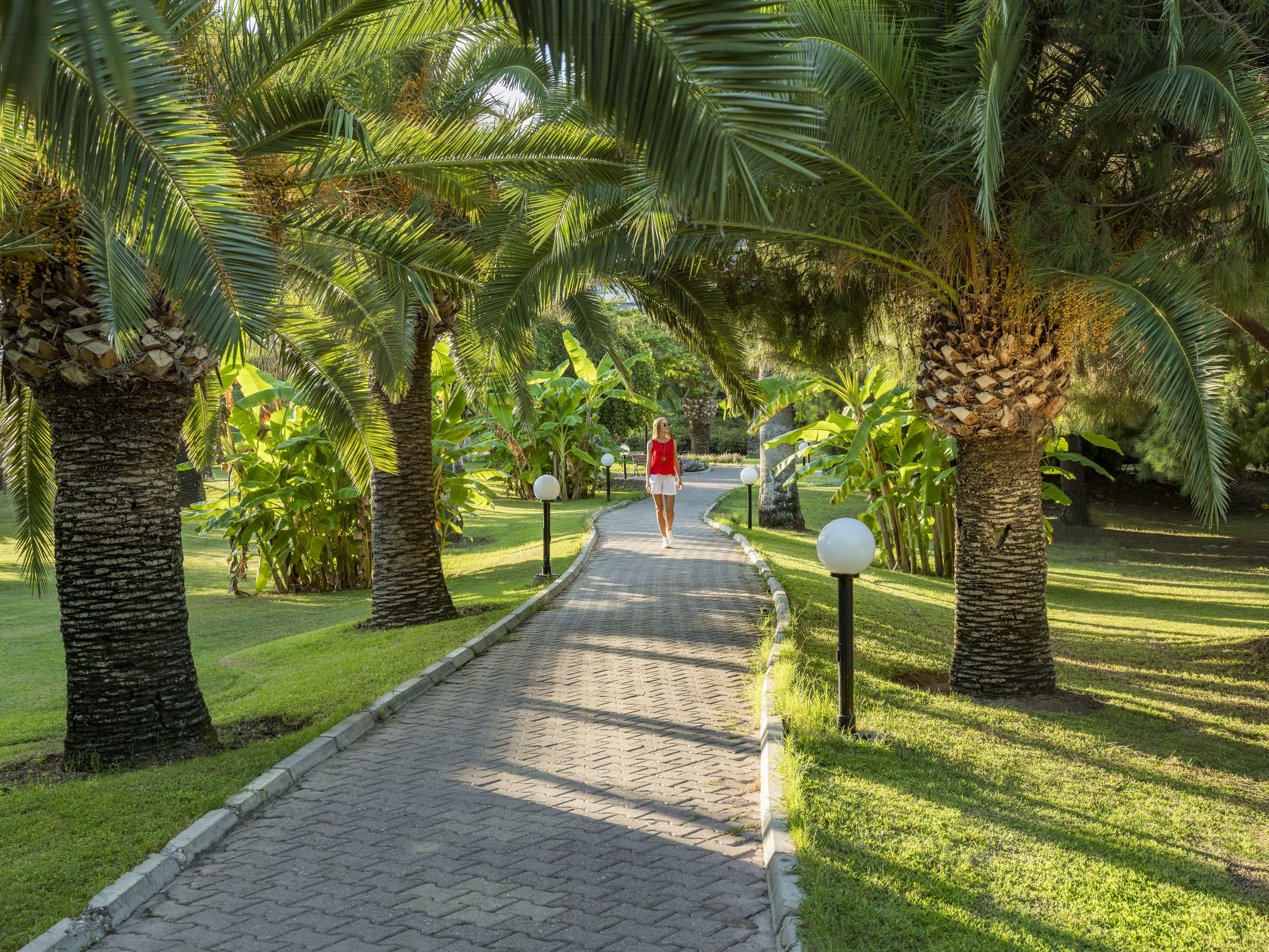 Áreas de la propiedad