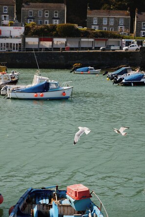 A marina with boats docked, a seagull flying, and buildings in the background.