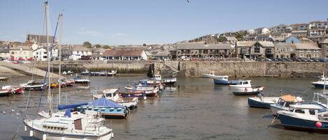 A harbor with boats docked, a seagull flying, and buildings in the background.