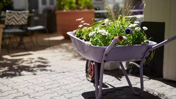 A wheelbarrow filled with flowers on a paved outdoor area.