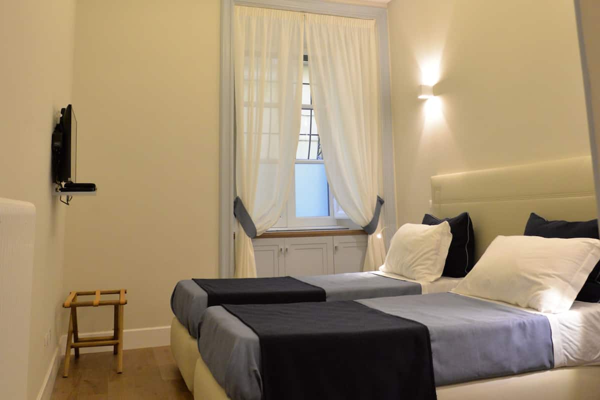 Double or Twin Room (Blue Rose)
