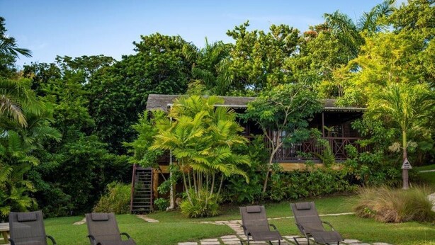 A pool area with lounge chairs, a wooden deck, and lush greenery. - Naniki Cottages (Surinam)