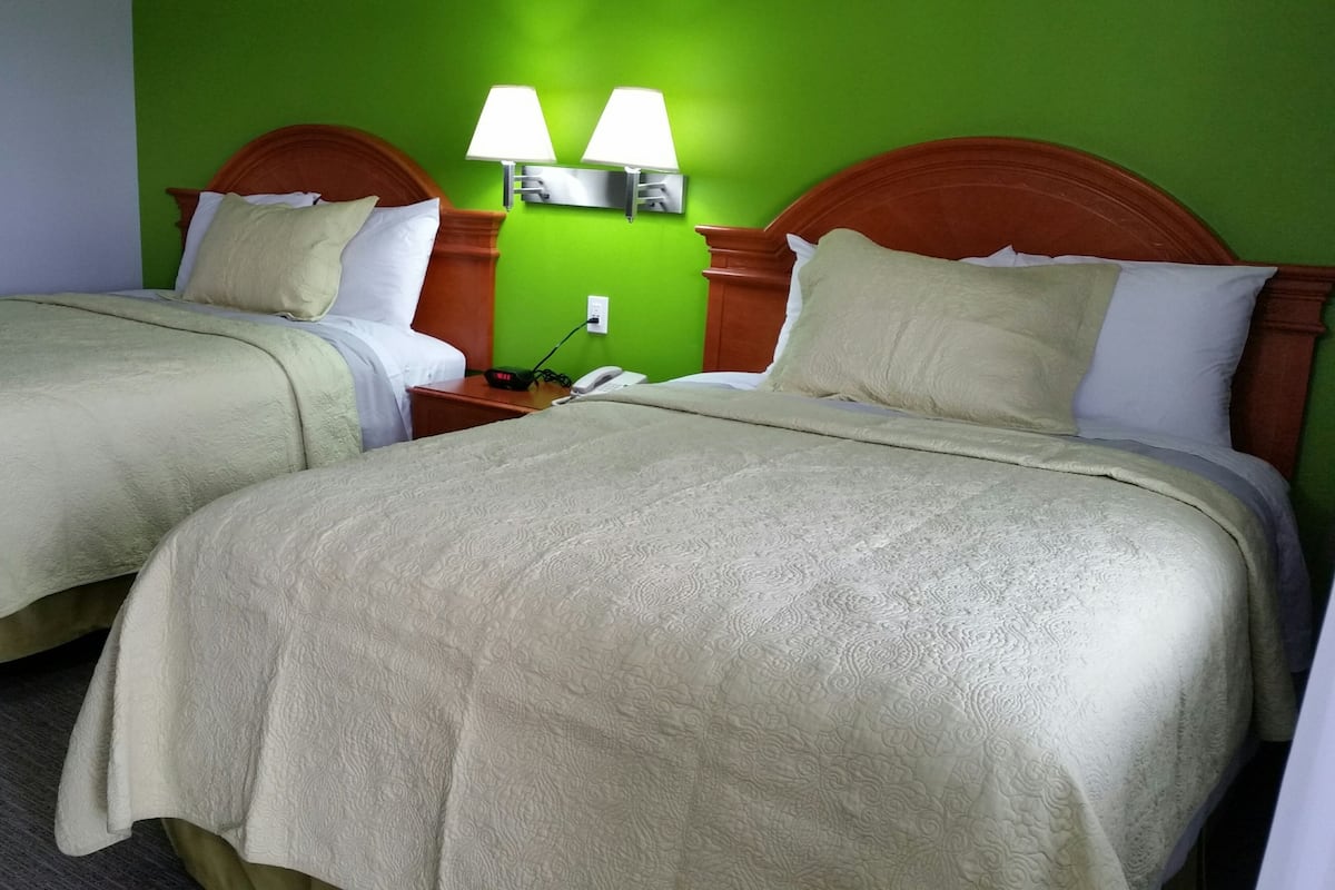Two single beds with headboards, a nightstand with a phone and lamp, and a green wall.