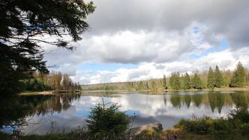 A serene lake surrounded by dense forest and a clear sky.