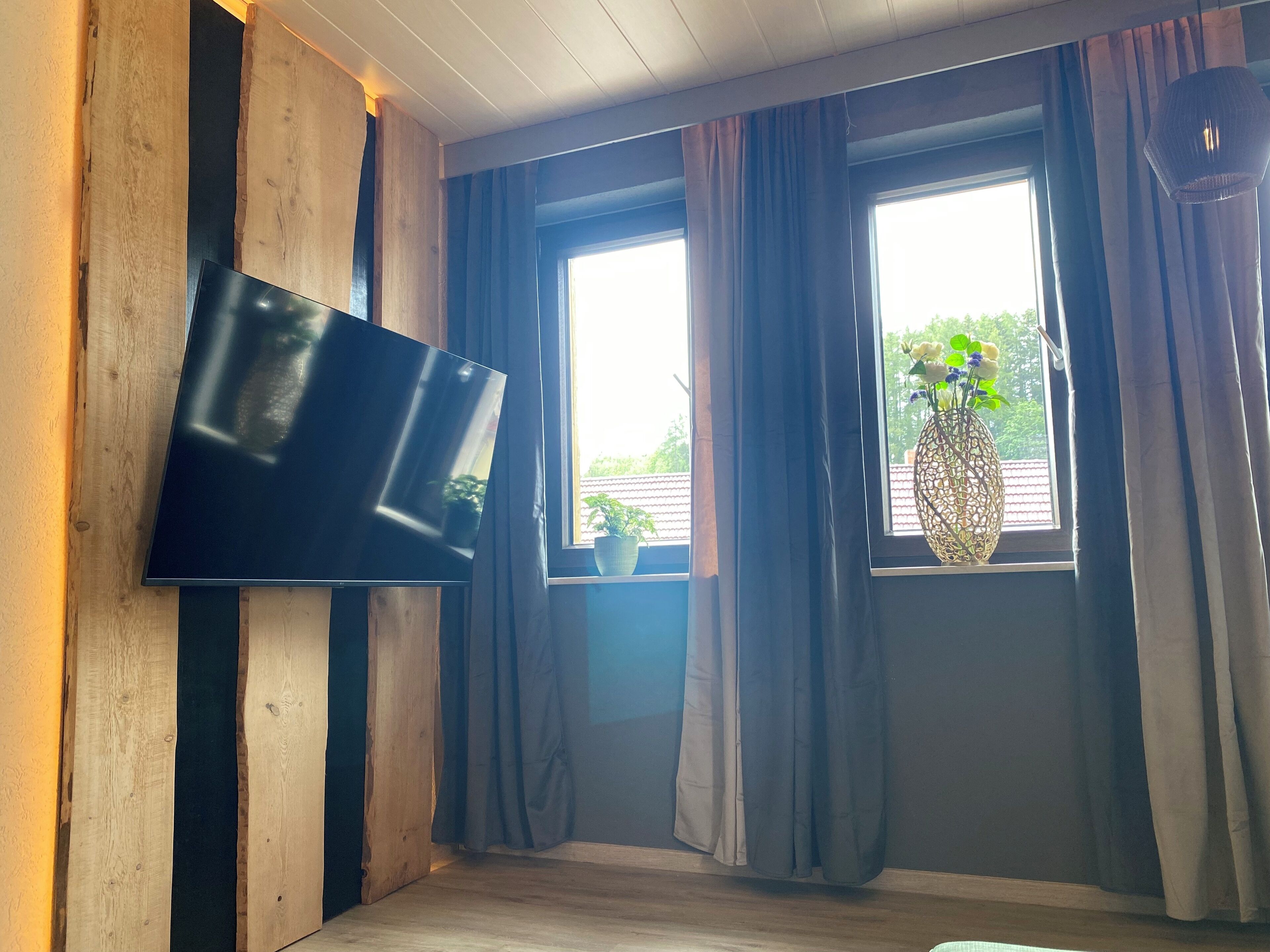 A room with a flat-screen TV mounted on a wooden wall, two windows with curtains, and a potted plant on the windowsill.