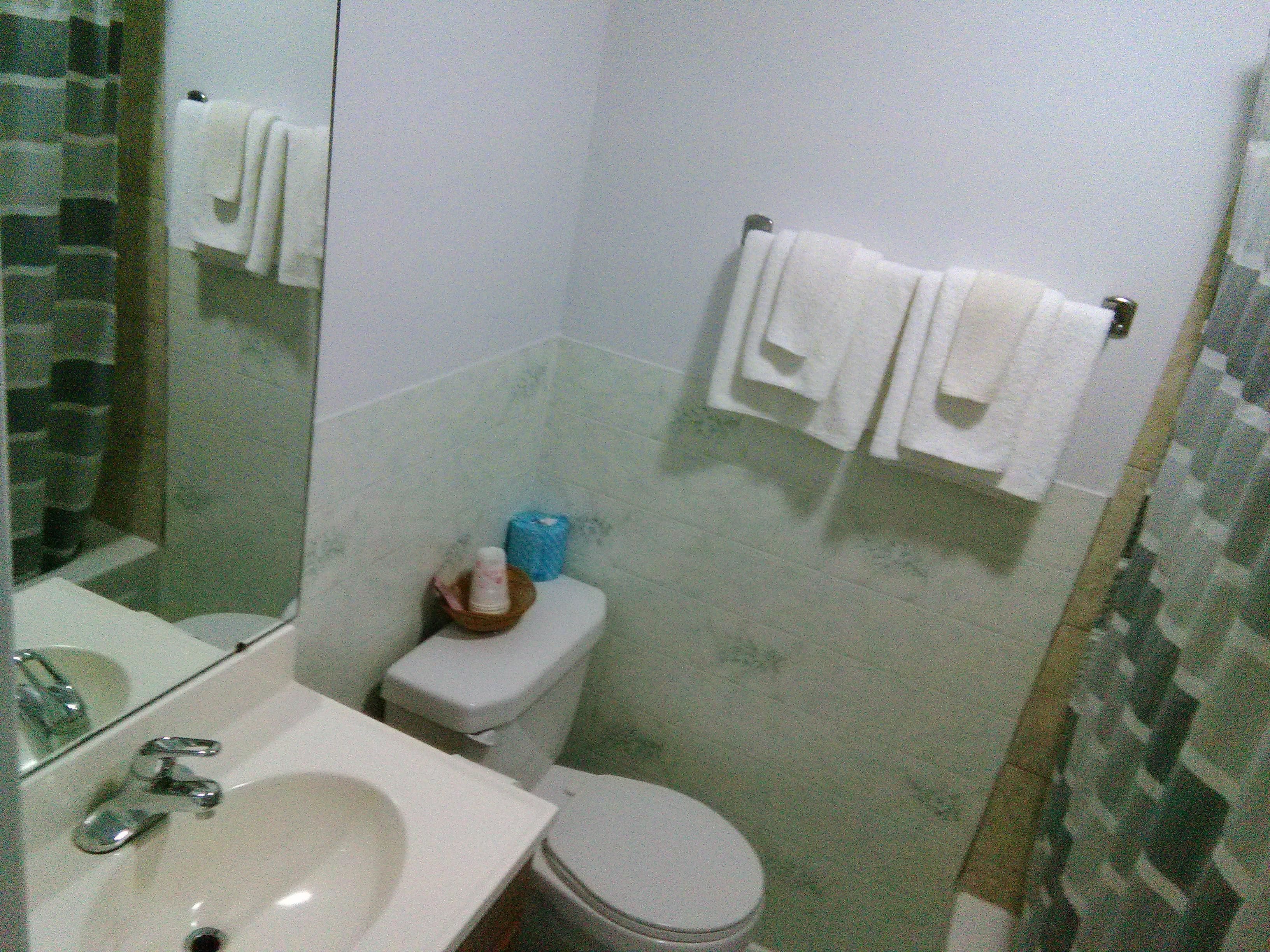 Casa de banho com lavatório, sanita e suporte para toalhas.