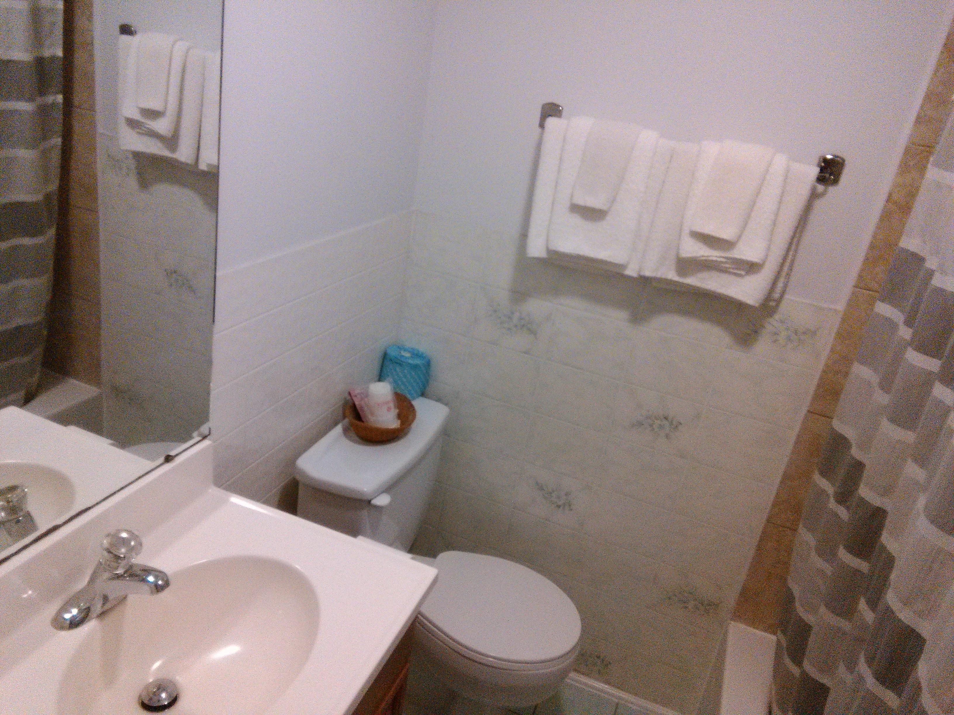 A bathroom with a sink, toilet, and a towel rack.