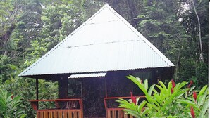 รูปภาพที่ไม่ได้จัดประเภท, 4 จาก 114, ปุ่ม