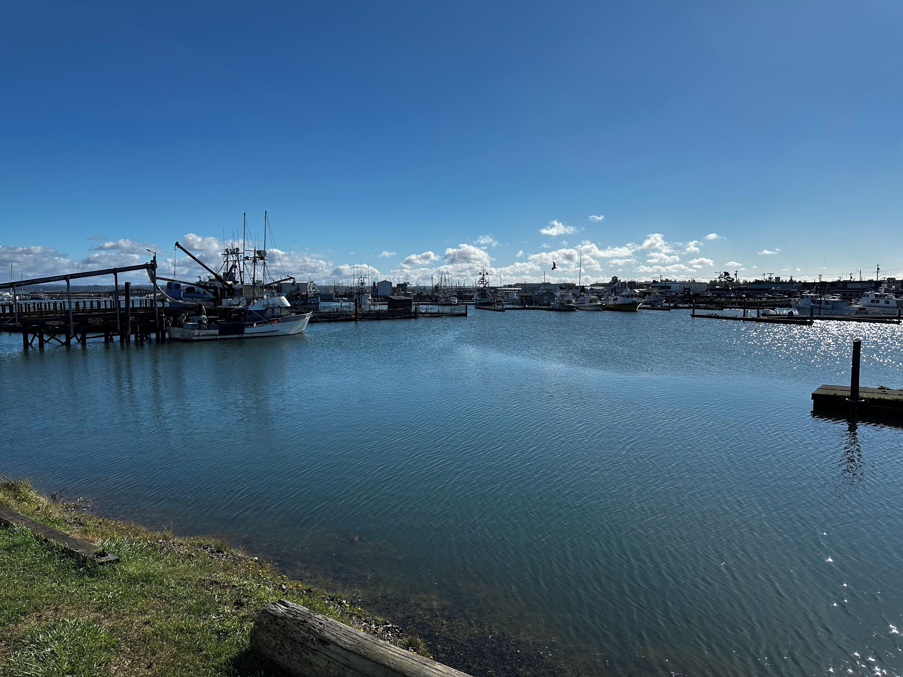 A marina with boats docked, a wooden pier, and a clear blue sky.