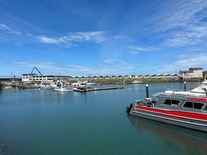 Vue depuis l’hébergement